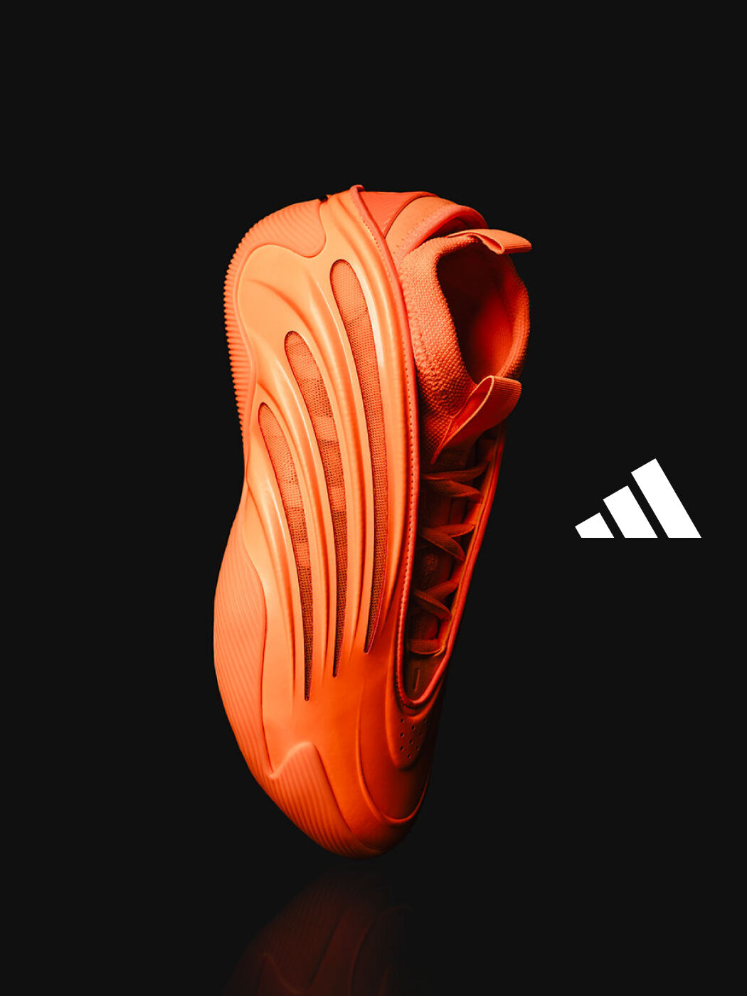 HARDEN VOL 9